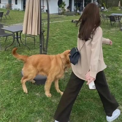 同居男女异星汪